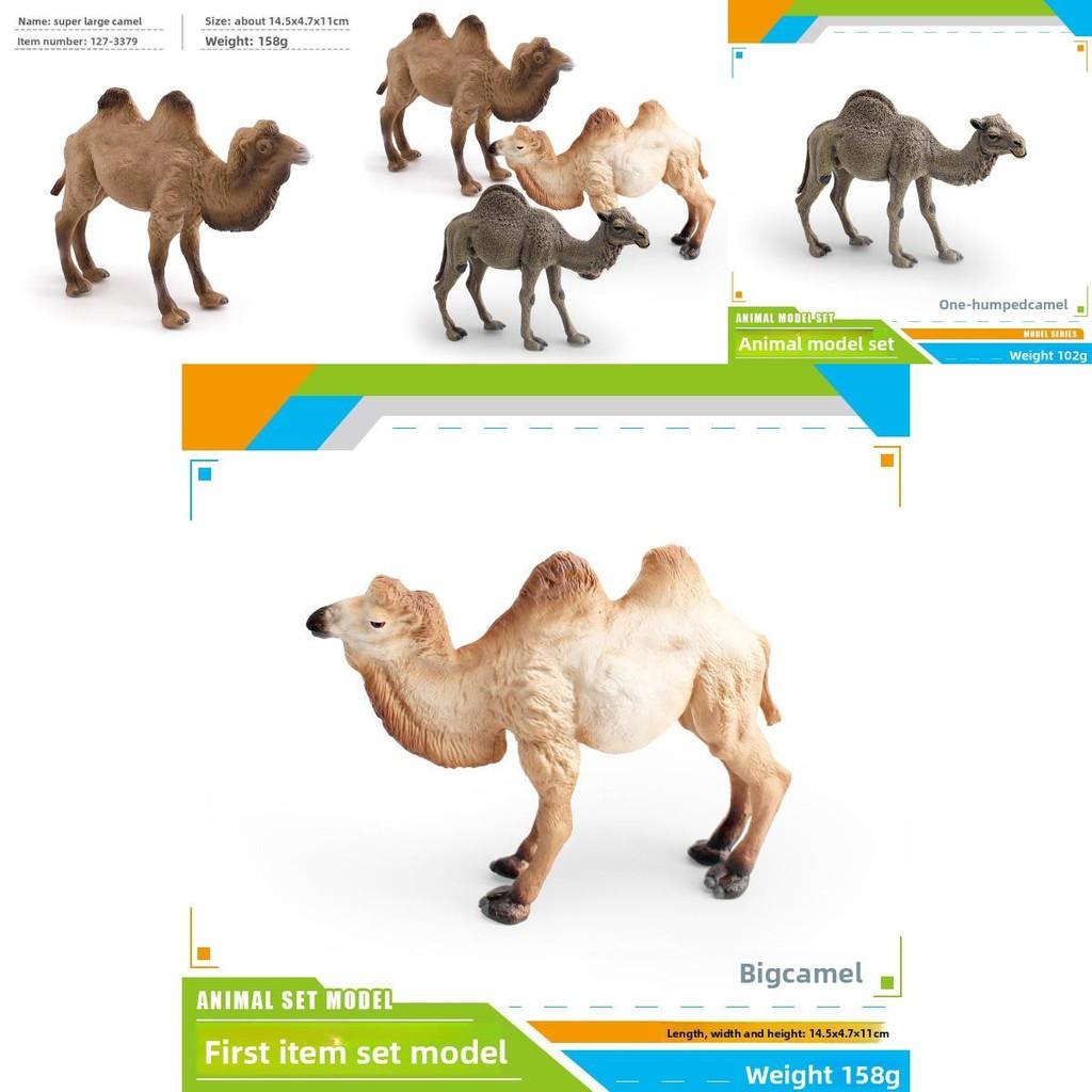 Animal Wildlife Pvc Model Single Hump Camel Decorative Toy For Kids Educational Gift