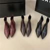 Pointed Korean Version of Short Boots Women's Sleeve Square Heel Women's Boots Thick Heel Thin Boots Niche Design High Heel Martin Boots