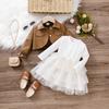 Girls' Autumn Winter Puffy Dress New Fashionable Little Princess Baby Korean Style Children's Two-Piece Set