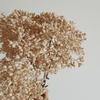 Wabi-Sabi Retro Floral Arrangement with Eucalyptus & Reed Grass for Home Decor & Photography