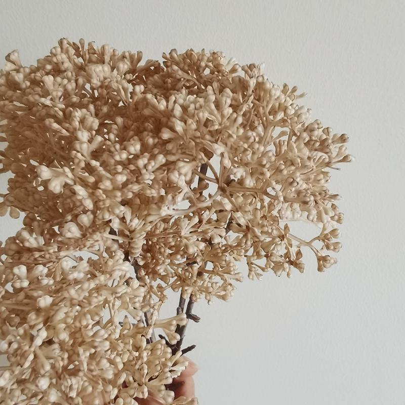 Wabi-Sabi Retro Floral Arrangement with Eucalyptus & Reed Grass for Home Decor & Photography