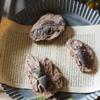 1 Stück Kinderspielzeug Simuliertes Harz Fossil Ornament Kriechendes Terrarium Dekorationen Dekorativer Behälter Landschaft Reptil