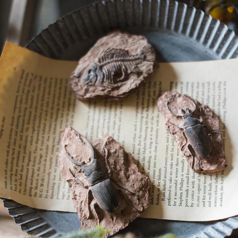 1 Stück Kinderspielzeug Simuliertes Harz Fossil Ornament Kriechendes Terrarium Dekorationen Dekorativer Behälter Landschaft Reptil