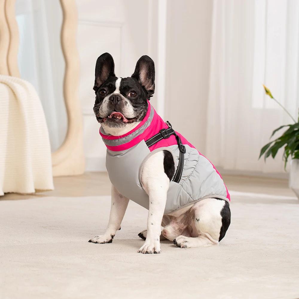 Wasserdichte Haustierjacke mit Geschirr, warme Winter-Hundekleidung für kleine große Hunde, Labrador-Mantel, Chihuahua, Französische Bulldogge, Outfits