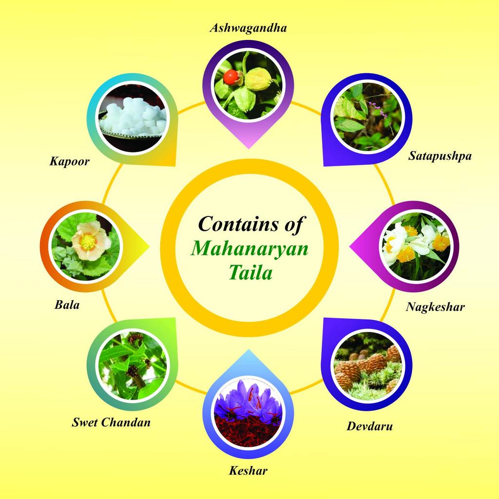 Baidyanath Mahanarayan Taila Natural Joint Pain Relief Oil 50 ml Pack of 2 Ayurvedic Massage Oil