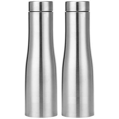 Curved Stainless Steel Water Bottle, Set of 2, 1 L Each