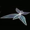 Girls Fairy Wing for Kids Adults Birthay Party Halloween Dress Up