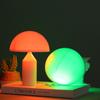 Battery Operated Mushroom Dimmable Lamp Color Changing Mushroom Night Light  Bedroom