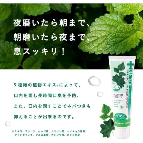 [.co.jp Exclusive] DENTISTE Tube Type 100g X 2-Pack