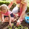 Régua de plantio de madeira Régua de espaçamento de sementes Régua de plantio de sementes com furos Conselhos sobre espaçamento de vegetais de jardim Ferramenta de plantio de jardinagem