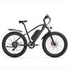 GOGOBEST GF600PLUS All-Terrain Adult Electric Bike 48V20Ah Battery 1000W Motor E-Mountain Bike 26 Inch Off-Road Tires Outdoor Electric Bicycle