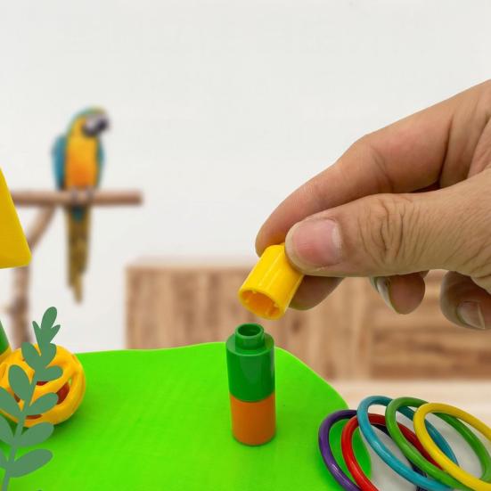 Pet Interactive Supplies Parrot Basketball Hoop Toy, Bird Toss Ring Game, Small Ball Games Agility Training Enrichment Toy for Parakeets Cockatiels
