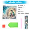 5D DIY Partial Special Shaped Drill Diamond Painting Kit Mary & Jesus Decoration
