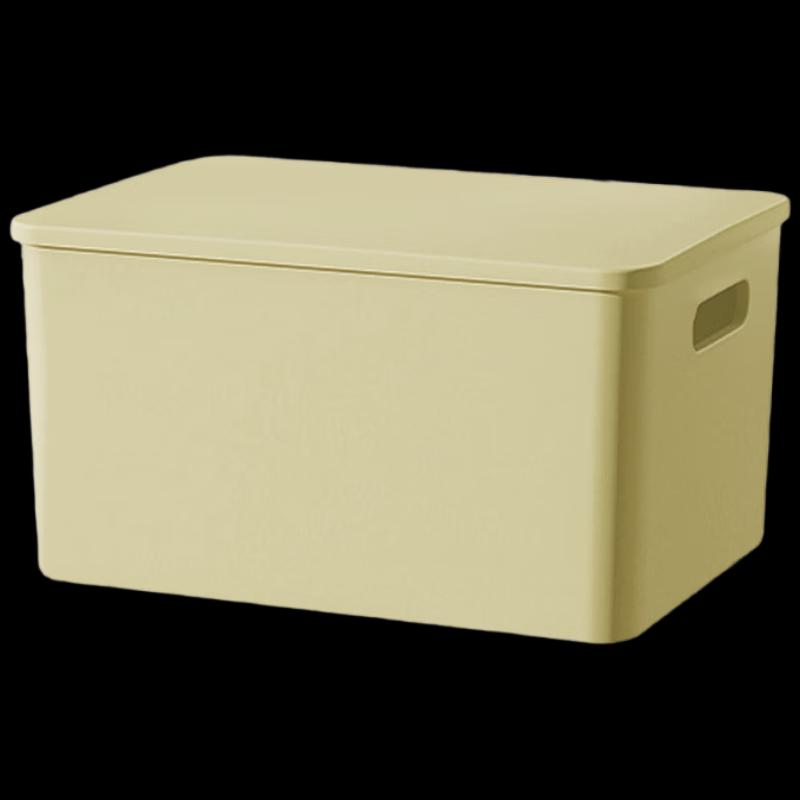 SPACEXPERT Plastic Storage Box with Lid