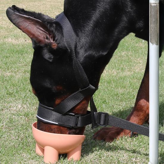 No-Pull Dog Head Collar Adjustable Dog Head Halter with Padded Nose