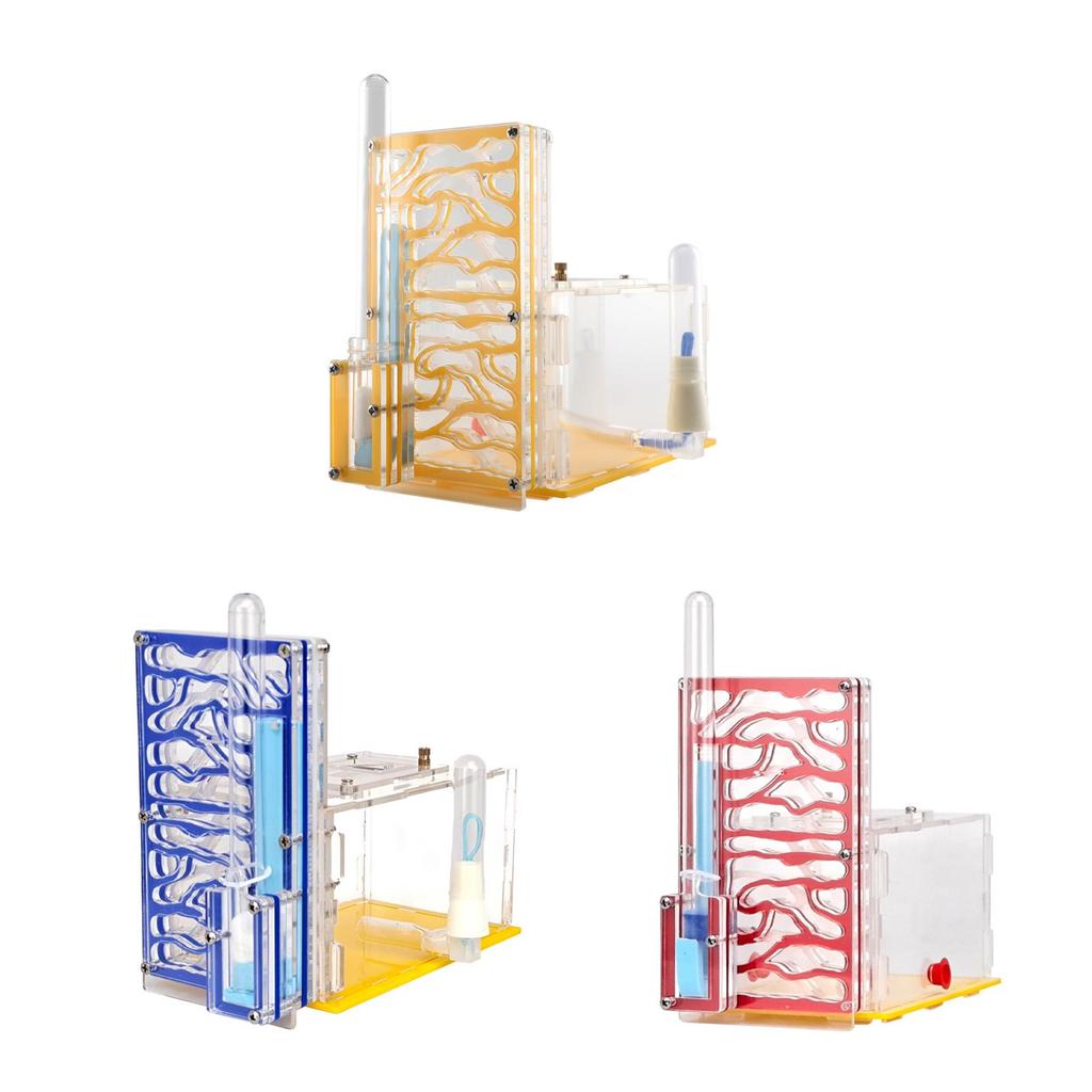 ANT Housing Nest DIY Funny Toys with Feeder Acrylic Habitat for Children's Day Lovers Decoration Tabletop Science Observation