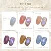 Coikaze Magnetic Gel Oval Cat Eye Gel Set Galaxy Color Gel Cat Eye Compatible 6-Color UV/LED (Rainbow)