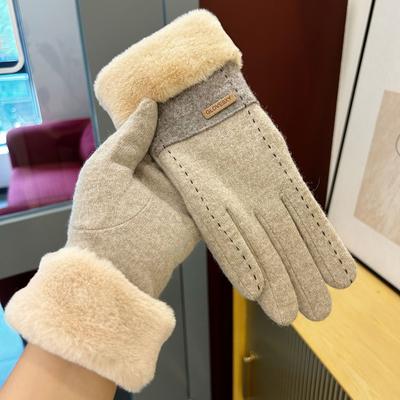 Warme Handschuhe für Damen im Herbst und Winter Koreanische Mode Touchscreen Plus Samt und Verdickt Radfahren Farbblock Kältefest Samt Labeling