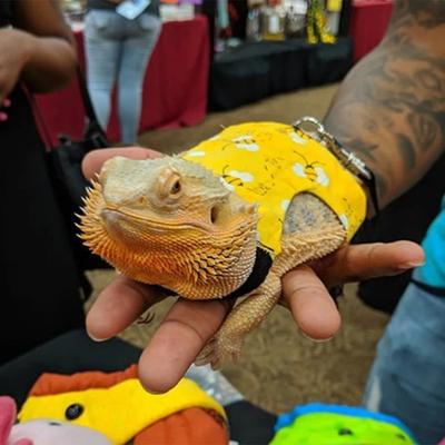 Yousheng 2Pcs/Set Lizard Leash Clothes Sleeveless Breathable Buckle Adjustment Reptile Bearded Dragon Vest Top Bee Print Small Animals Plush Leash
