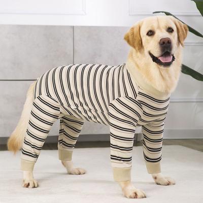 Vêtements et chaussures – Tenues pour chien
