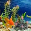 Aquarium Landscape Decorative Castles Aquariums Decorations Art Crafts Terrarium Habitat Ornaments