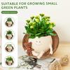 Swing Face Pot Cute Resin Smile Face Planter Decorative Little Swinging Pot with Drain Hole Home Creative Rocking Succulent Pots