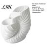 Sea Snail Toothbrush Holder 3D Printed Conch Holder, Organizer Stand, Desktop Storage Rack with 3 Compartments