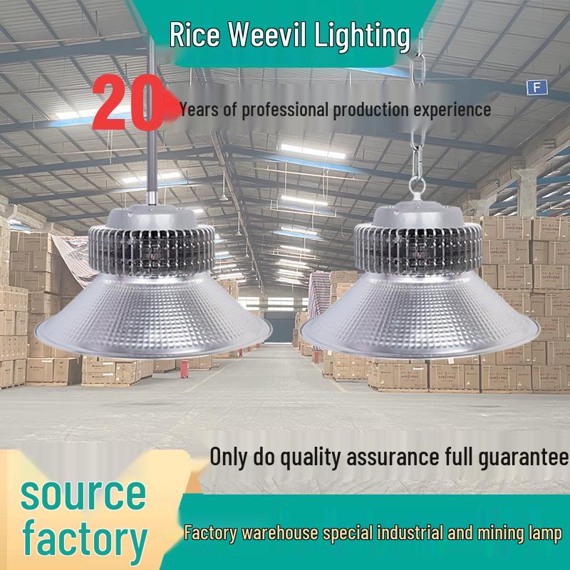 

Energy-Saving 300W Super Bright LED High Bay Light for Workshops and Warehouses Classic Hook