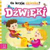 Co Kryją Okienka Dźwięki