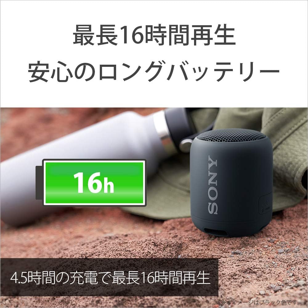 Sony Wireless Portable Speaker SRS-XB12: Waterproof / Dustproof / Bluetooth Compatible / Deep Bass Model / Built-in Microphone / Lightweight and Compa