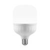 Lampadina a LED FSL T100 25W E27 a Colonna, 6500K Bianca
