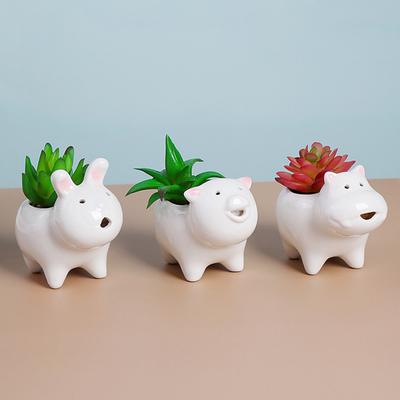 Niedlicher Tier-Blumentopf, Sukkulententopf, Keramik-Pflanzgefäß, Heimdekoration, Desktop-Ornament, Gartendekoration, Bonsai-Blumentopf