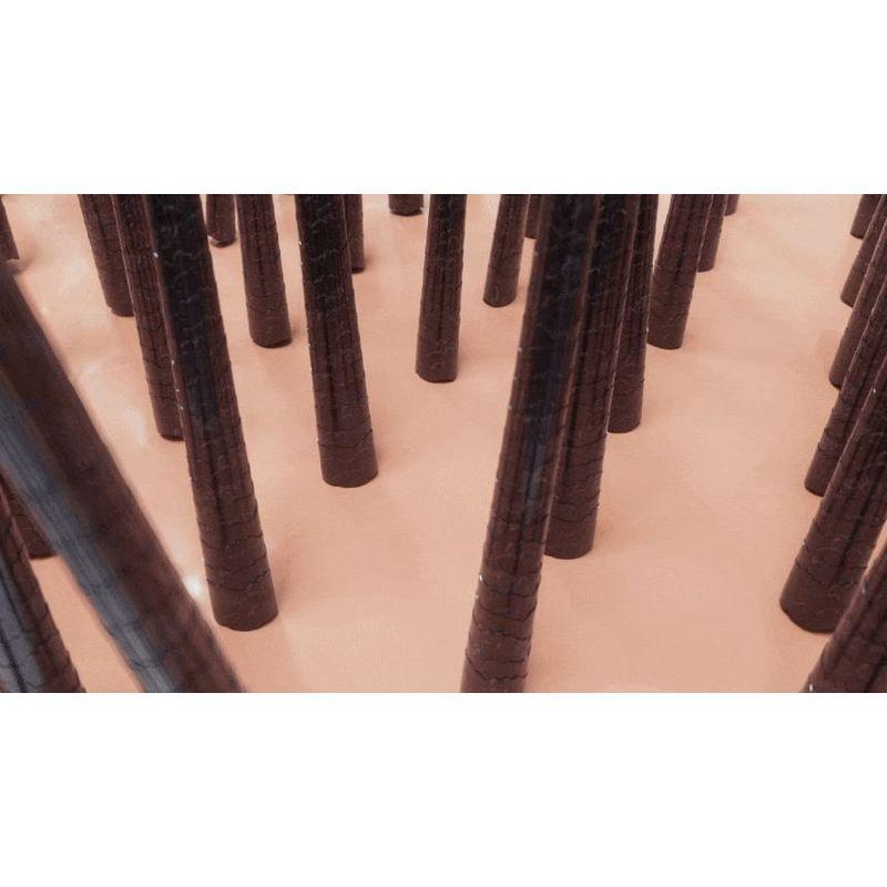 ViveLab - Scalp Spioxyl React Shot 800