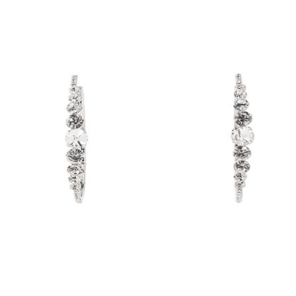 Runda örhängen kvinnliga strass temperament örhängen nisch high-end bankett tillbehör