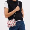 Coach Cherry Print Leather Chain Shoulder Bag Small Women Shoulder Bag White CY717-SVCAH