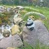 Cartoon Animal Sculpture Resin Miniatures Figurine Garden Decor Frog Panda Fishing Statue  Lawn
