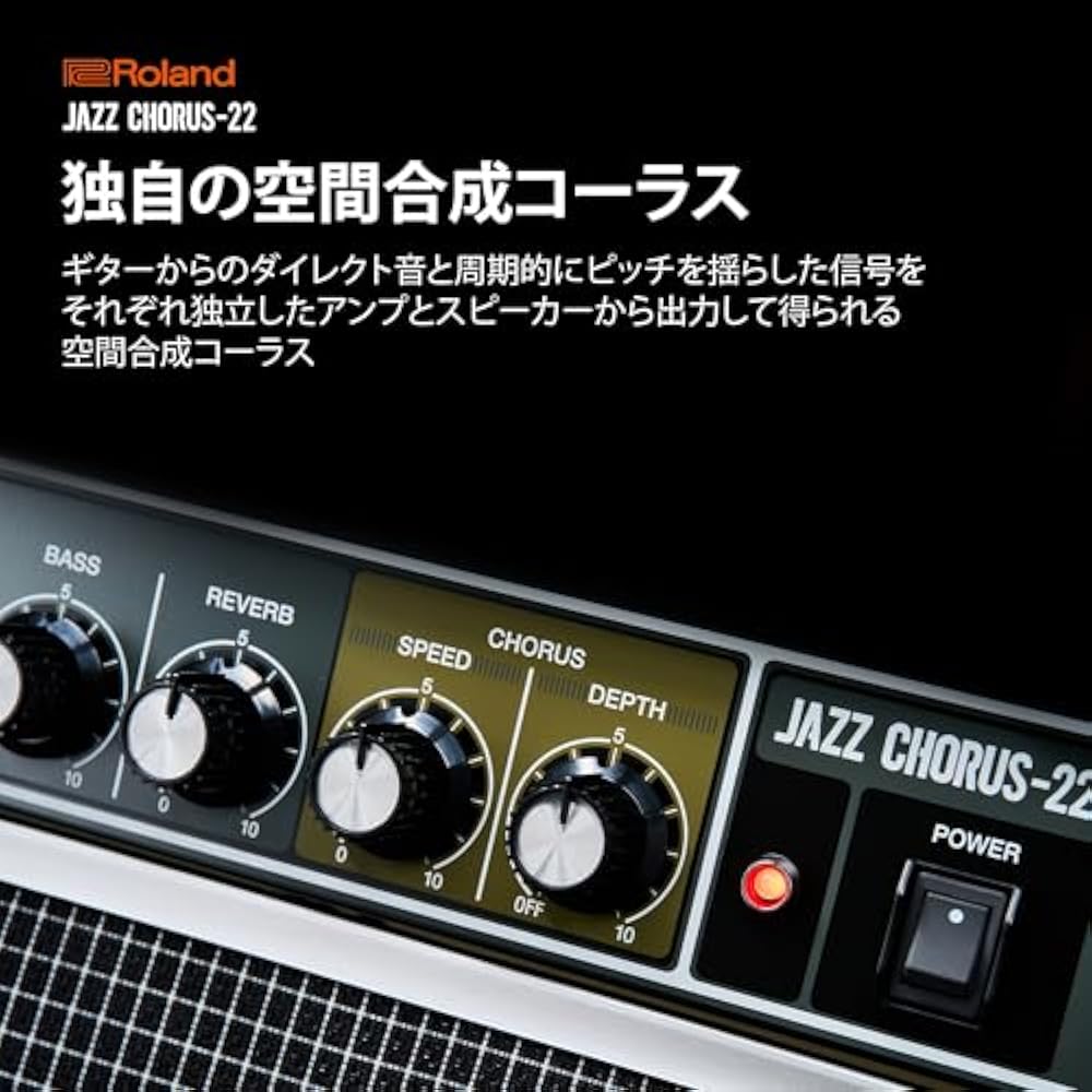 Roland/JC-22 Roland Guitar Amp Jazz Chorus 30W