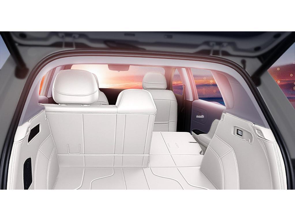 Shijie 06 Trunk Mat Full Coverage for 2025 Dongfeng Car Interior Modification