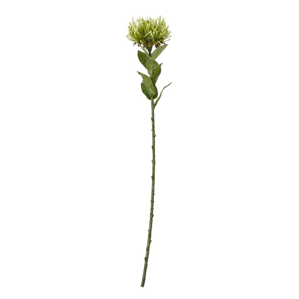 Hill Interiors Protea Lorea Stem Artificial Plant