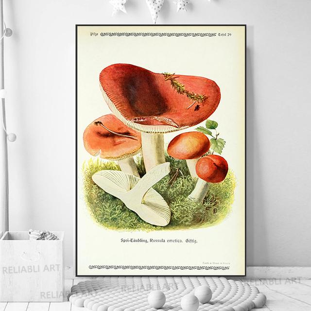 Vintage Mushroom Specimen Canvas Painting Antique Wall Art Herbal Pictures Science Posters and Prints Home Office Decor Cuadros