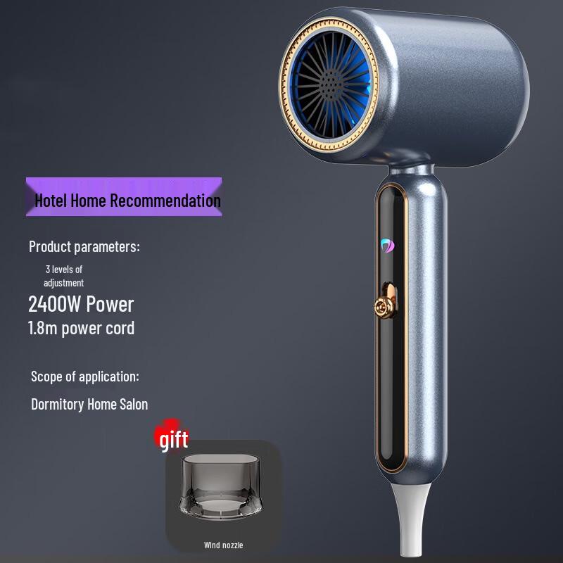 OIMG 2400W Professional Hair Dryer with Dual Blue Light