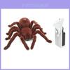 Remote Control Spider Toy With Plastic Material For Kids Age 7 To 14