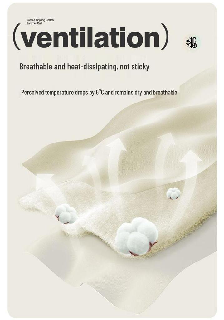 Xinjiang Cotton Summer Quilt: Machine Washable Lightweight AC Blanket for Spring & Autumn