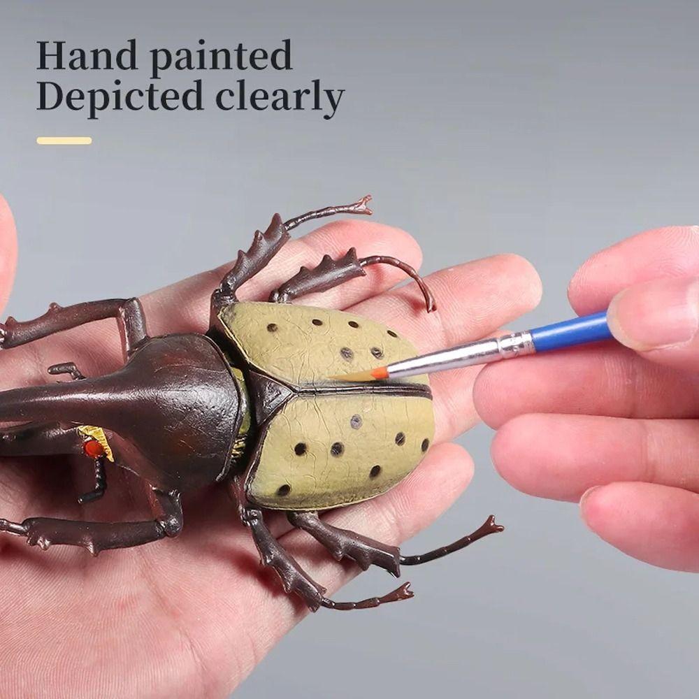 Realistic Beetle Action Figures Wild Insect Lifelike Insect Figurines  Desktop Ornament