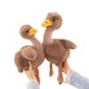 Big Eyes Ostrich Plush Doll Soft Stuffed Wild Animal Doll Ostrich Plush Toy  Home Decoration