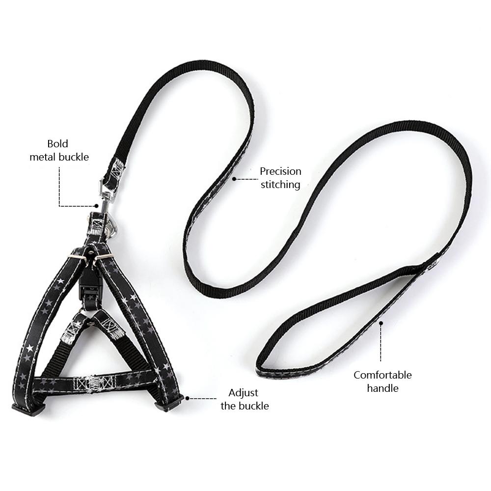 Classic Pet Dog Leash Harness Set, Adjustable Vest Harness Soft Padded  Safety Leads for Small Medium Dog Puppy Training Walking Running