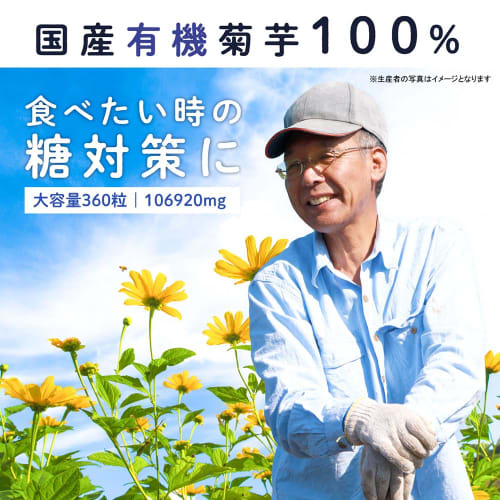 LOHAStyle Jerusalem Artichoke Supplement, 360 Tablets, High Inulin Content, Made in Japan, Jerusalem Artichoke Tablets, Multivitamin, Water-Soluble Di