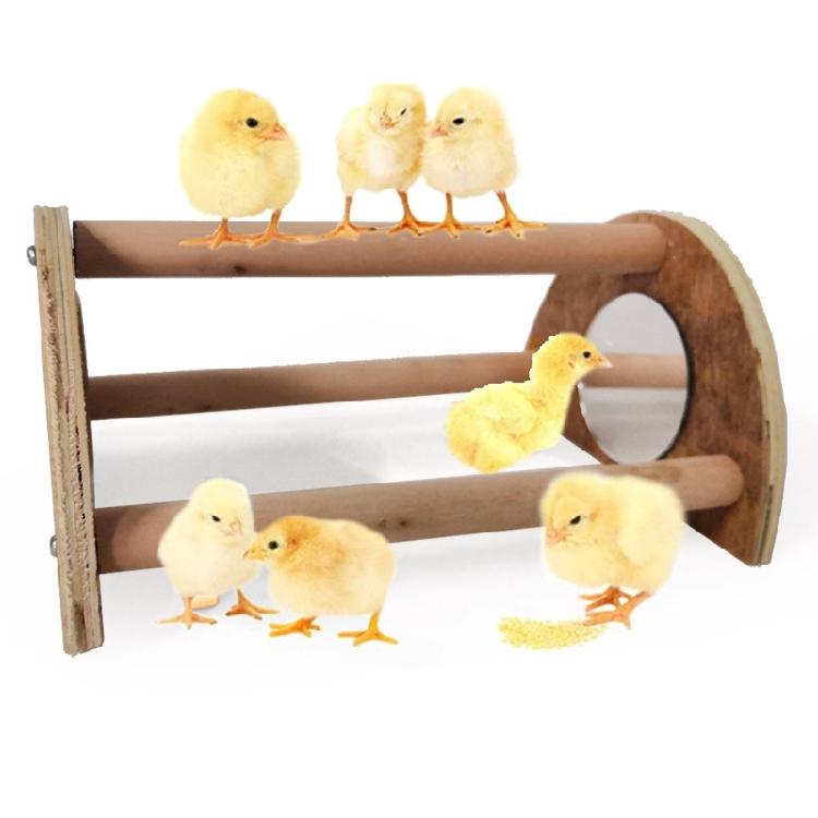 Chick Perch for Chicks Wood Stand with Mirror Roost Training Bar for Baby Chicks