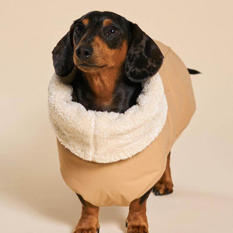 ANGEL DOG Hund Tatted Tech Welpe Polsterung Beige