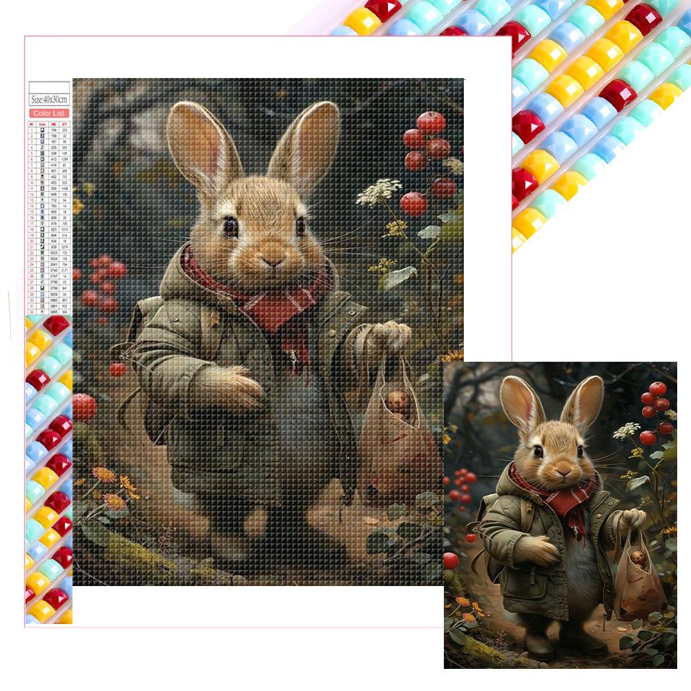 5D DIY Full Square Drill Diamond Painting Peter Rabbit Kit Home Decor Art